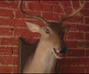 Product of the Day: Buck, The Singing Deer Trophy